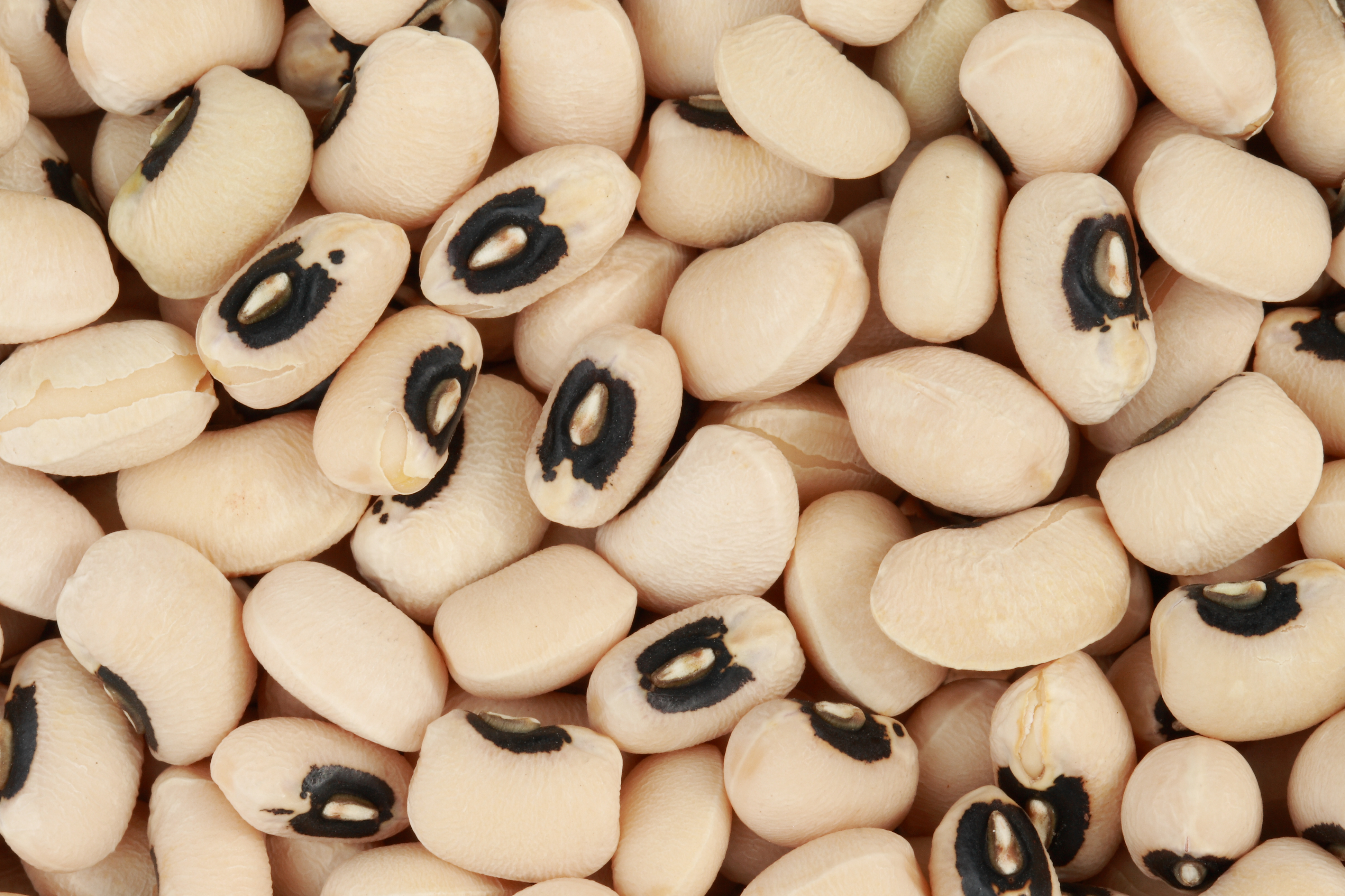 Black-Eye Cowpea (Beans) 50kg Bag