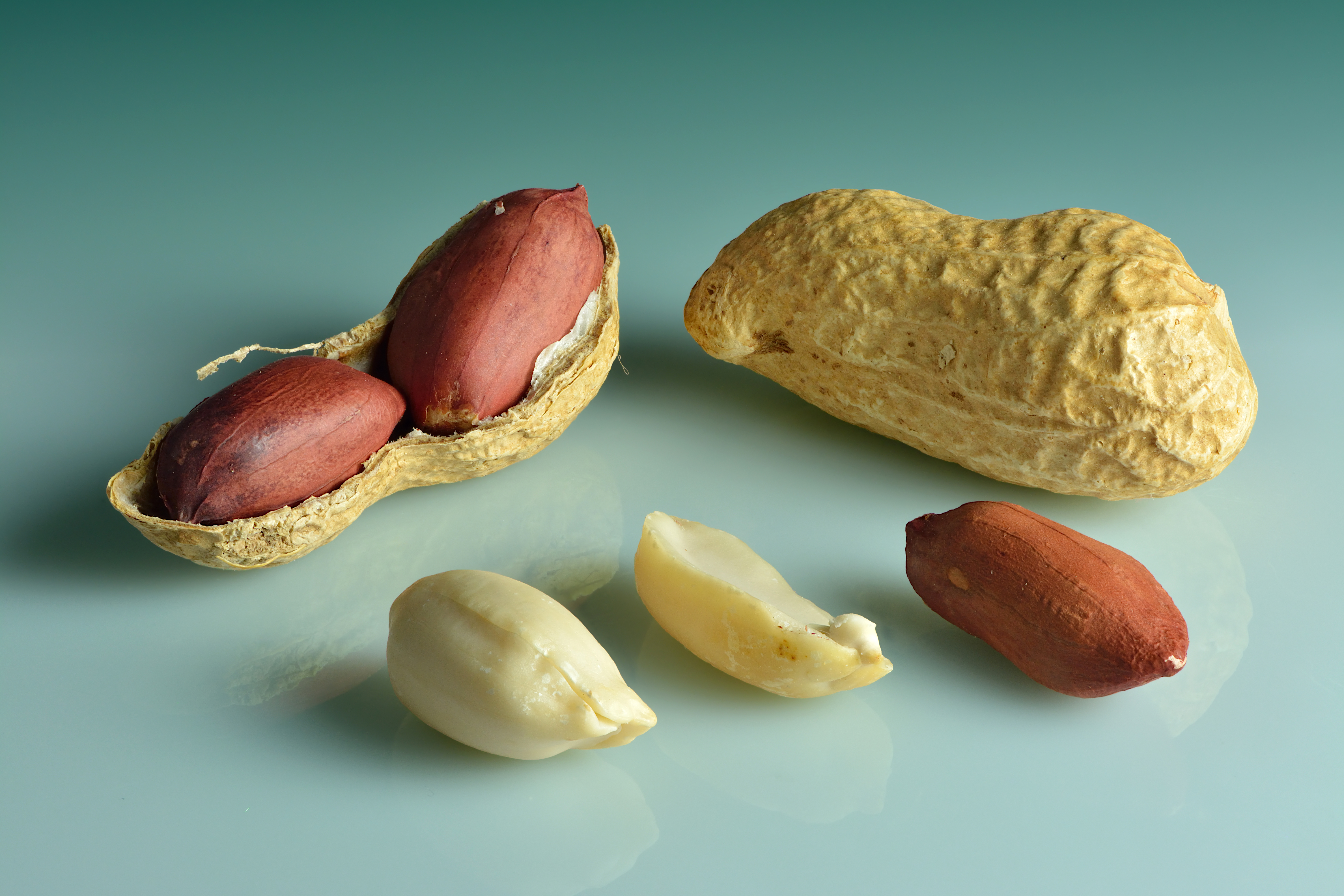 Groundnut (Raw, Unshelled) 25kg Bag