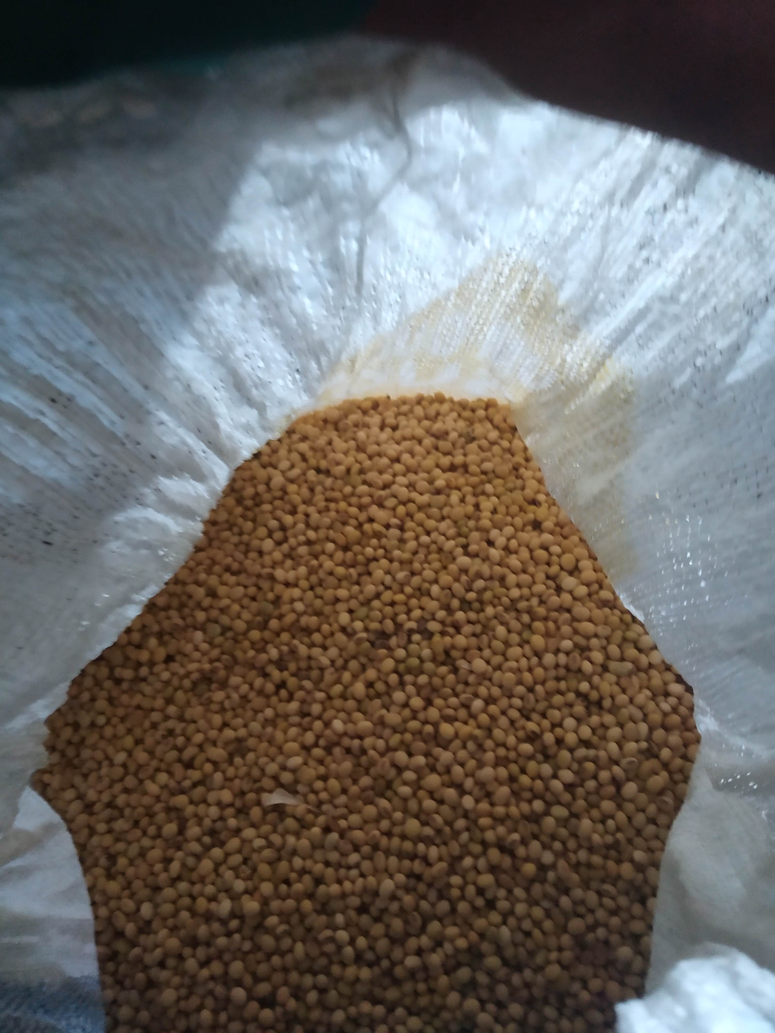 Soya Bean Oil – 10-Litre Drum