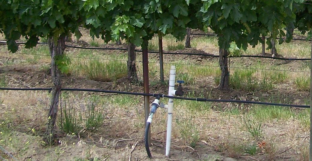 Submersible Irrigation Pump (1.5HP)